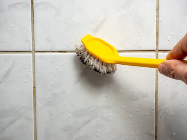 Best Affordable Mold Removal  in Mercer Island, WA