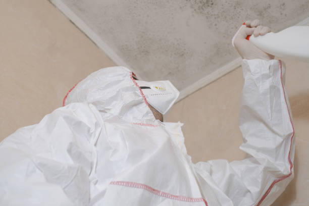 Best Mold Cleaning Services  in Mercer Island, WA