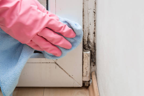 Water Damage Restoration in Mercer Island, WA